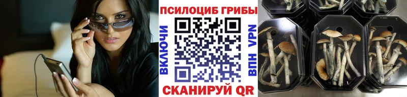 Галлюциногенные грибы Cubensis  МЕГА ONION  маркетплейс как зайти  Салехард 